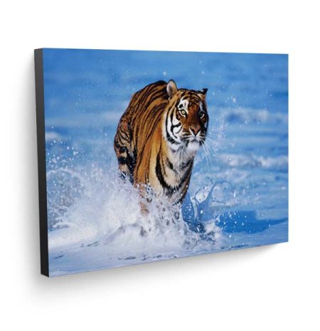 چاپ عکس (تخته شاسی)